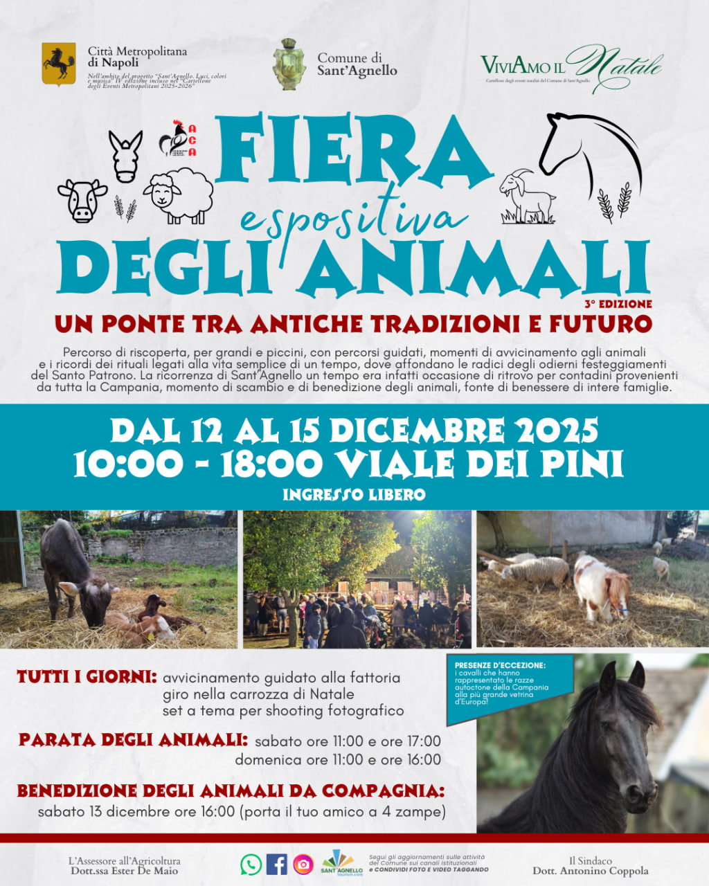 Fiera Espositiva degli Animali 2025 a Sant’Agnello