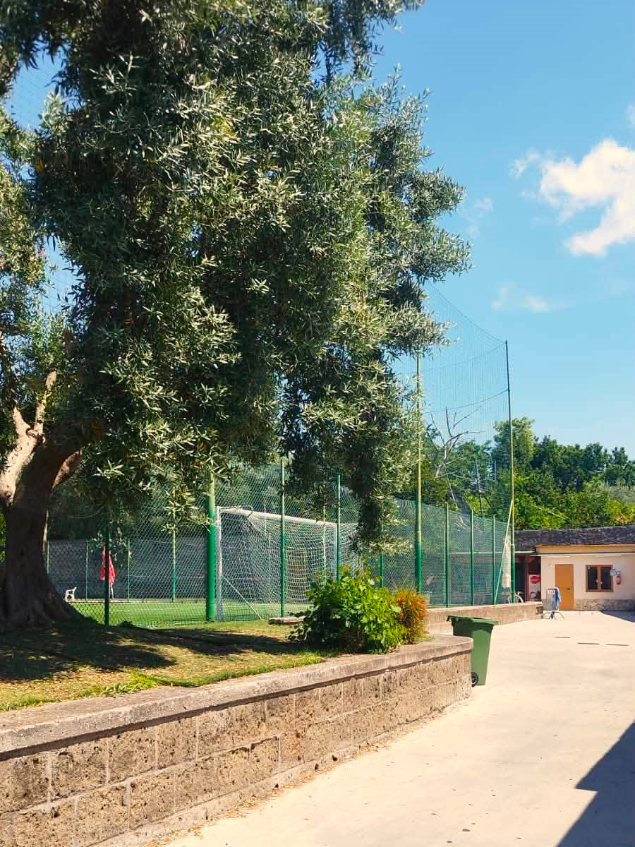 Estate Sportiva Sant’Agnello 2026